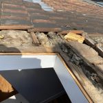 remplacement velux taverny