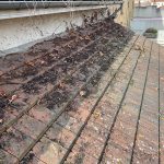 nettoyage toiture bagnolet 2