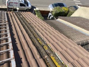 nettoyage toiture louvres 8