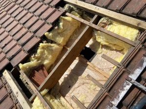 velux bruyeres 95 5