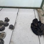 renovation toit terrasse beaumont sur oise