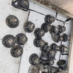 renovation toit terrasse beaumont sur oise 2