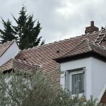 renovation chiens assis viarmes