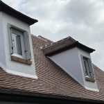 renovation chiens assis viarmes 2