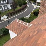 renovation toiture chien assis 95